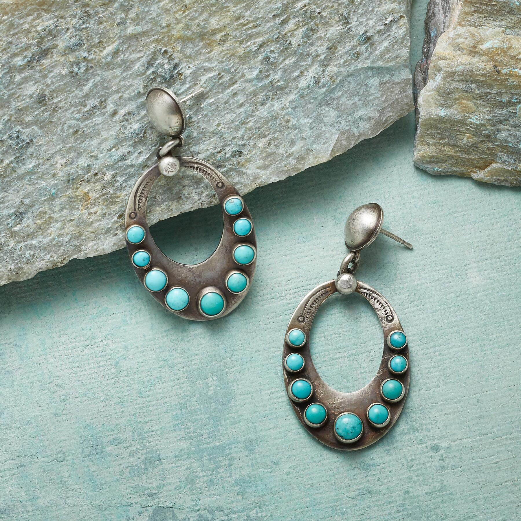 Premium Nine Lives Earrings