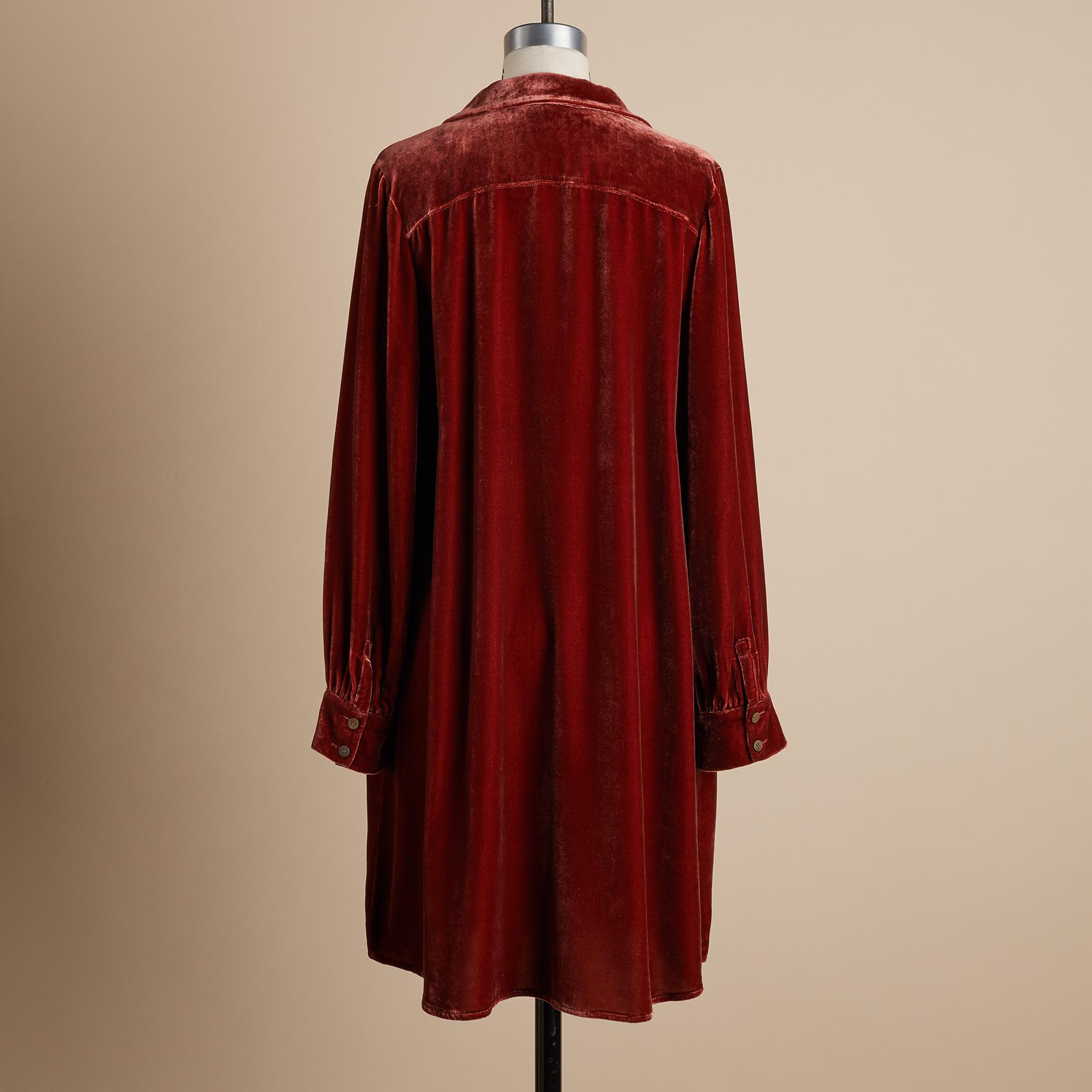 Premium Nia Velvet Dress